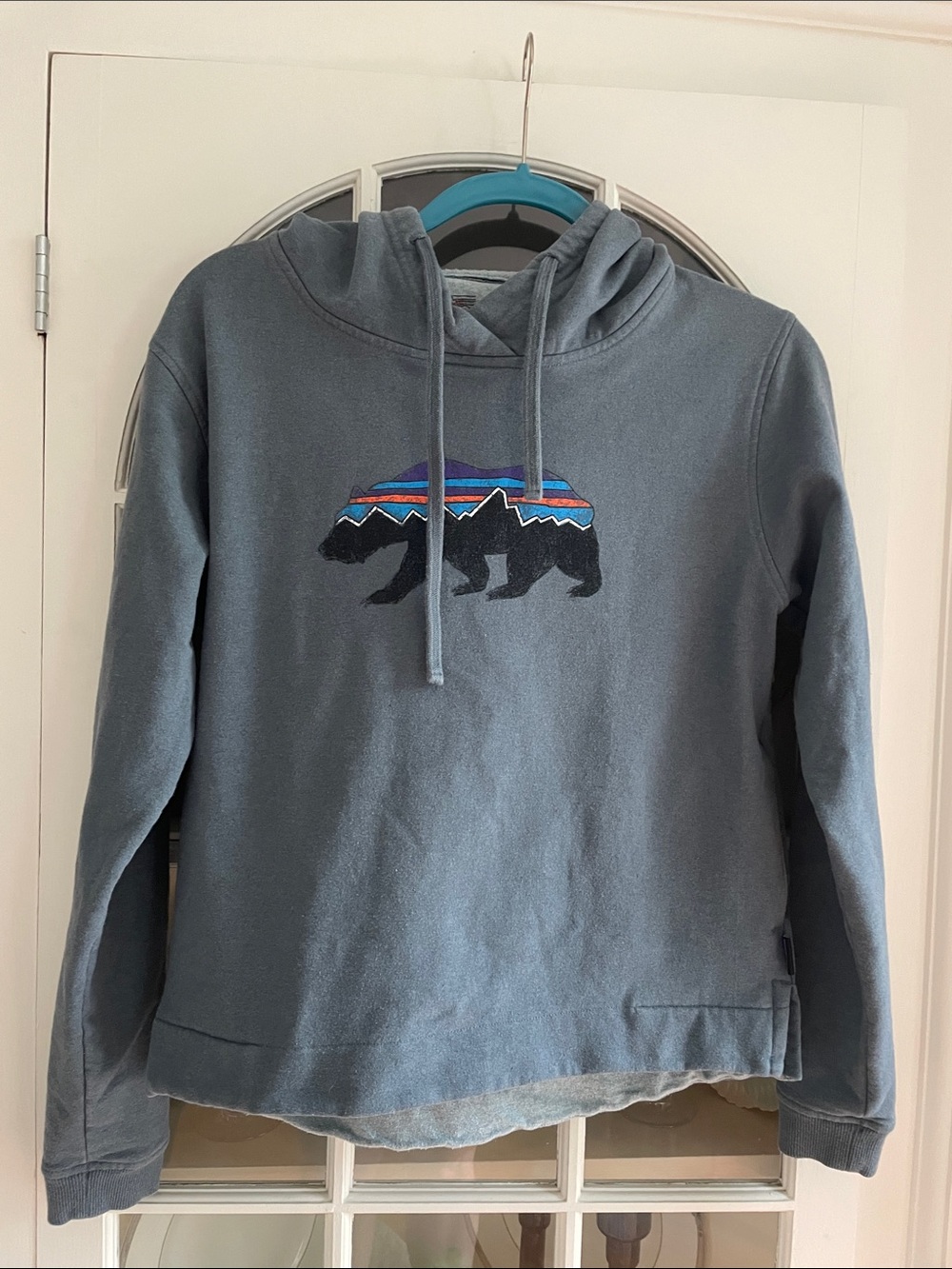 Patagonia Gray Women’s Hoodie with Color-Striped Bear Patch
